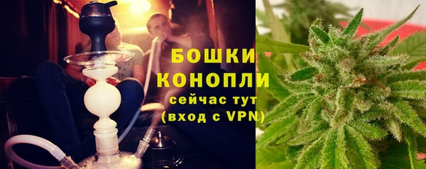 гидра Няндома