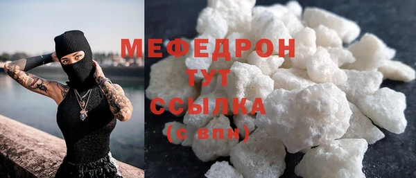 гидра Няндома